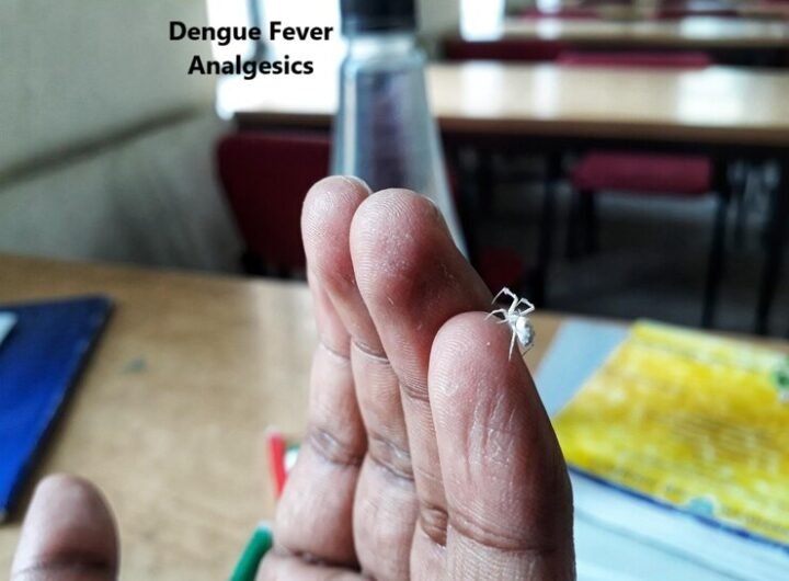 Dengue Fever Analgesics: Managing Pain Safely and Effectively